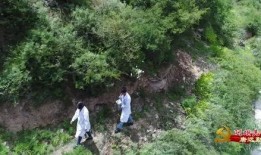 古隆中酒厂爆料事件视频,揭秘白酒生产背后的秘密